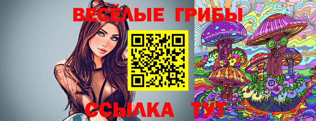 Галлюциногенные грибы прущие грибы Саки