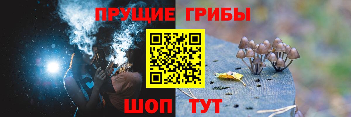Саки  хочу наркоту  Вход с VPN  Галлюциногенные грибы ЛСД 